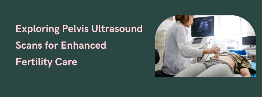 Exploring Pelvis Ultrasound Scans for Enhanced Fertility Care