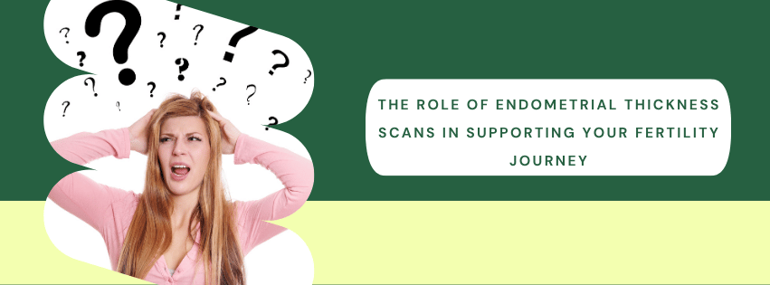 The Role of Endometrial Thickness Scans in Supporting Your Fertility Journey